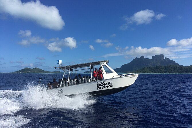 1 Afternoon Dive for Certified Divers in Bora Bora - A small-group scuba session in Bora Bora’s lagoon or reef