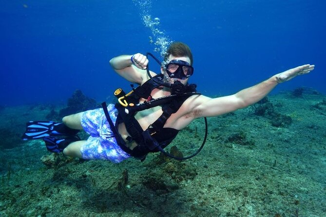 1 Tank Guided Shore Dive Including Equipment - Key points before you go
