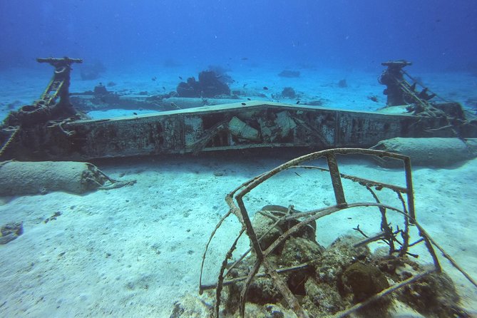 1 Tank Guided Shore Dive Including Equipment - Gear included, and why that’s a real value