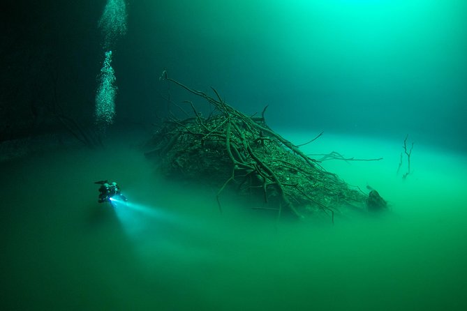 2 cenote divings (including one deep diving) for advanced divers in Tulum - Dos Ojos: limestone formations, bat cave areas, and light plays