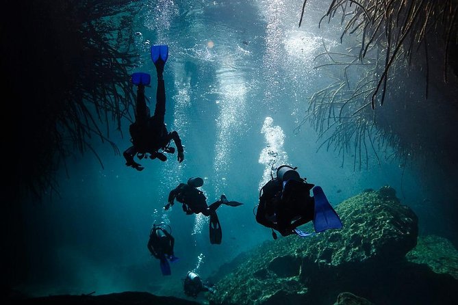 2 cenote divings (including one deep diving) for advanced divers in Tulum - What’s included (and why that matters more at cenotes than you think)