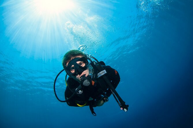 2 Days & 1 Night - 2 Dives in Lembongan/Penida (for certified divers) - Key things that make this scuba trip work