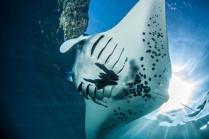 2 Days Discover Scuba Diving in Nusa Lembongan - Scuba Initiation - Why Nusa Lembongan Works So Well for Your First Scuba Lesson