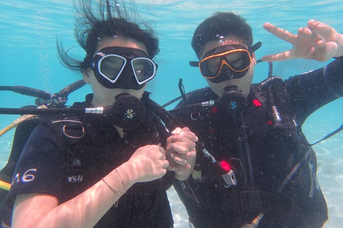 2 Days Diving Trip to Koh Tao Including 4 Dives and Accommodation - What you’ll experience underwater: deep-water time, wreck visit, and a night underwater session