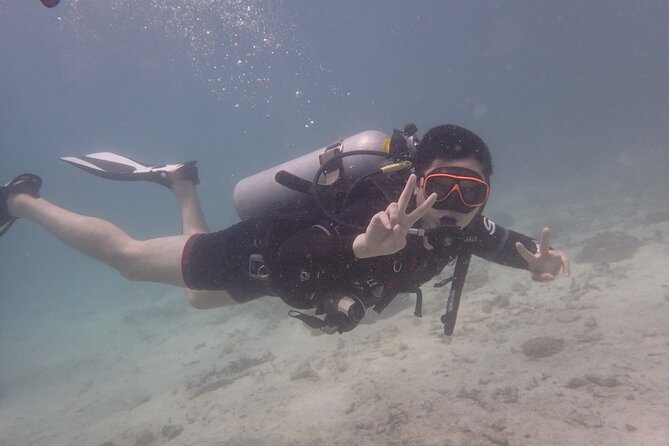 2 Days Diving Trip to Koh Tao Including 4 Dives and Accommodation - Who this Koh Tao package is perfect for (and who should skip it)