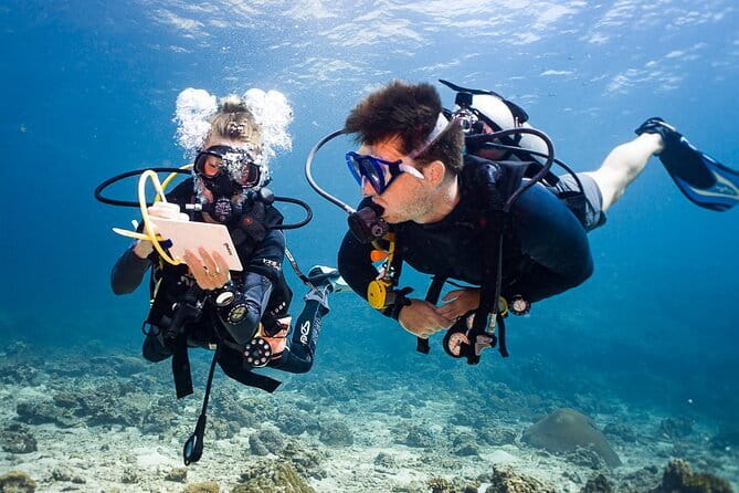 2 Days PADI Advanced Course from Phi Phi - Key highlights (worth planning around)