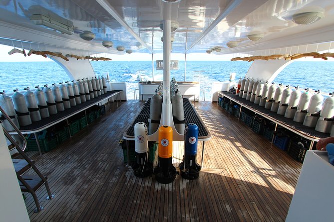 2-Dive adventure-Safe & Top-rated boat for Certified Divers - Who this trip fits best (and who should look elsewhere)