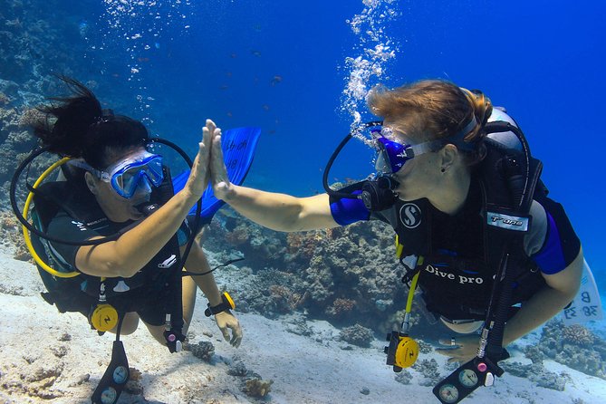 2-Dive adventure-Safe & Top-rated boat for Certified Divers - The 27m boat experience: sun beds, briefing, and space to breathe