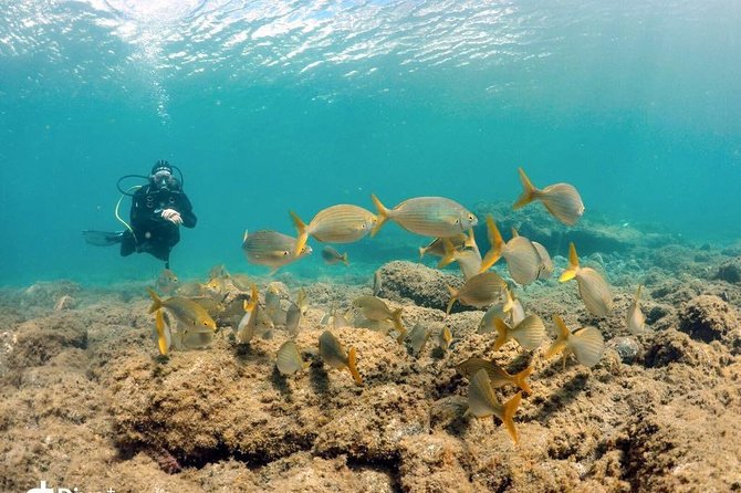 2 Dive Package for Qualified Divers in Gran Canaria - Equipment Check: CRESSI Gear Included Means Less Hassle Underwater