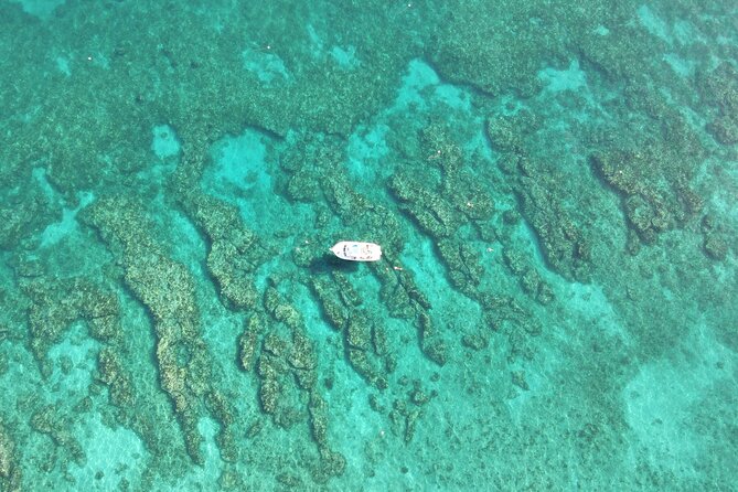 2 Dive Scuba Diving Reef Excursion to Key Largo Marine Sanctuary - Price and value: what $99 really buys you