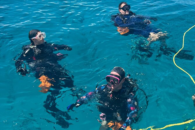 2 Dive Scuba Diving Reef Excursion to Key Largo Marine Sanctuary - Meeting point and getting started on Overseas Highway