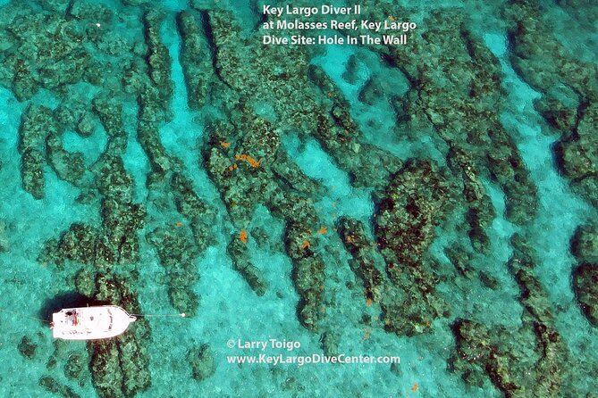 2 Dive Scuba Diving Reef Excursion to Key Largo Marine Sanctuary - Small group size: why maximum 18 matters
