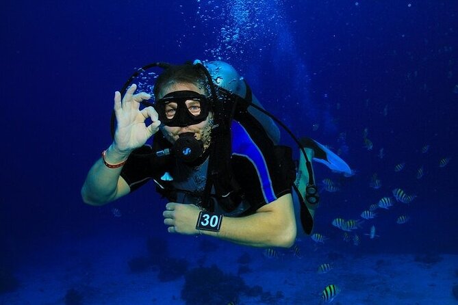 2 Dive Stops Intro Scuba Diving With Lunch & Transfer - Hurghada - Two Underwater Stops From Hurghada Marina: The Big Picture