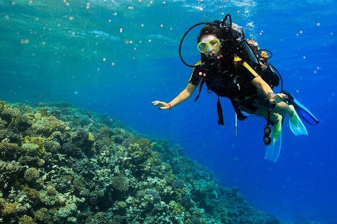 2 Dive Stops Intro Scuba Diving With Lunch & Transfer - Hurghada - Boat Time Between Stops: Lunch, Drinks, and a Photographer If You Want One