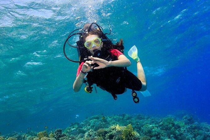 2 Dive Stops Intro Scuba Diving With Lunch & Transfer - Hurghada - Second Underwater Stop: Why It Often Feels Easier