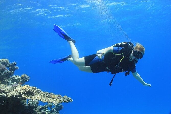 2 Dive Stops Intro Scuba Diving With Lunch & Transfer - Hurghada - Price and Value Check: Why $21 Can Be a Smart Deal
