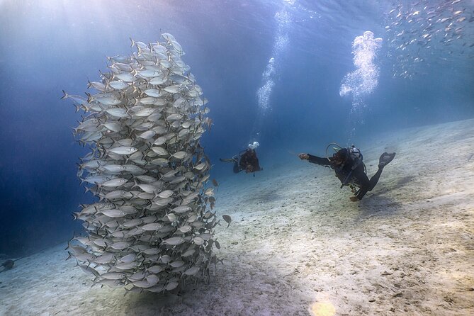 (2 Dives) Discover Scuba Diving Kota Kinabalu - After Lunch: The Boat-Led Coral Session