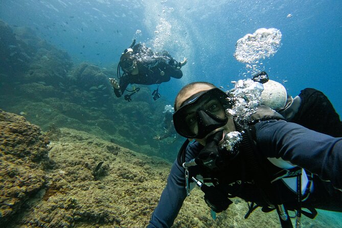 2 Dives for certified divers in Fujairah with BBQ lunch - Fujairah from Al Dana Island: why this location works