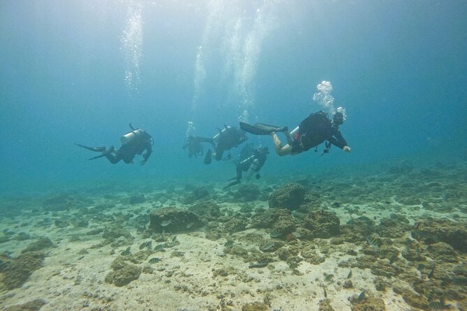 2 Dives for certified divers in Fujairah with BBQ lunch - Before you go: paperwork, weights, and the stuff that prevents stress