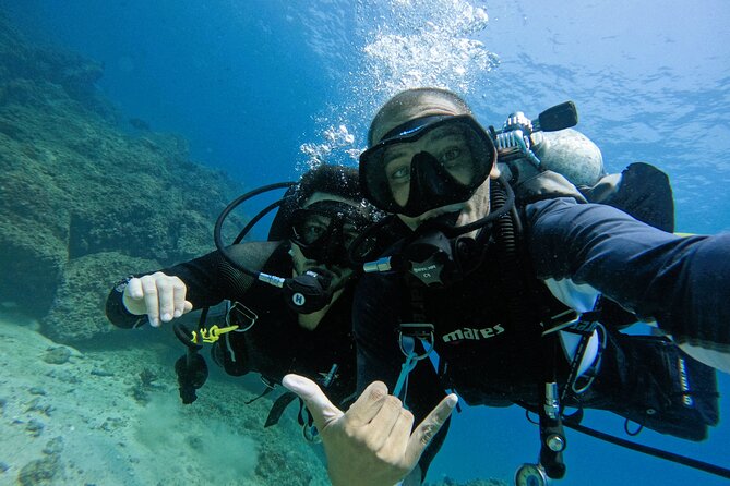 2 Dives for Certified Divers in Fujairah with lunch & transfer - Lunch and Transfers: The Comfort Pieces You’ll Thank Yourself For