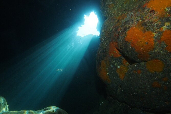 2 Dives from Diving Center (with full equipment) - Two guided scuba sessions at Campeggio Jonio: what the day is really like