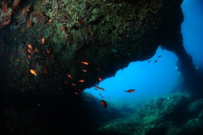 2 Dives from Diving Center (with full equipment) - Campeggio Jonio bay: why this setup is beginner-friendly