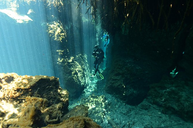 2 dives in Cenote Dos ojos Certified Divers - Getting geared up right: equipment fit is the whole game