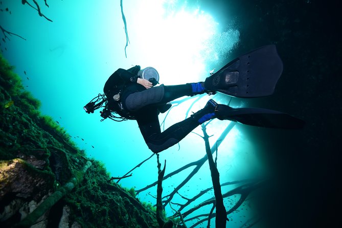 2 dives in Cenote Dos ojos Certified Divers - Price and value: what $200 really covers
