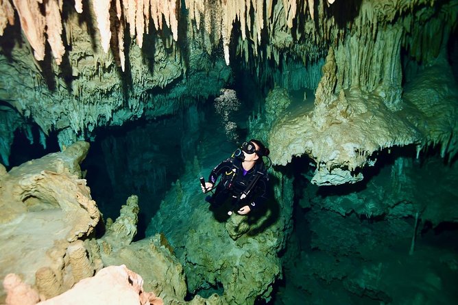 2 dives in Cenote Dos ojos Certified Divers - Stop 1: Cenote Dos Ojos—stalactites, stalagmites, and that “what am I looking at?” feeling