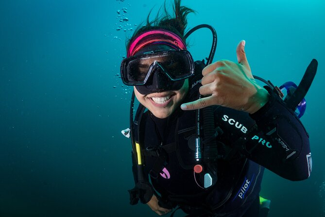 2 Dives in the Cabo Marine Park - Cabo Marine Park, but Make It Manageable