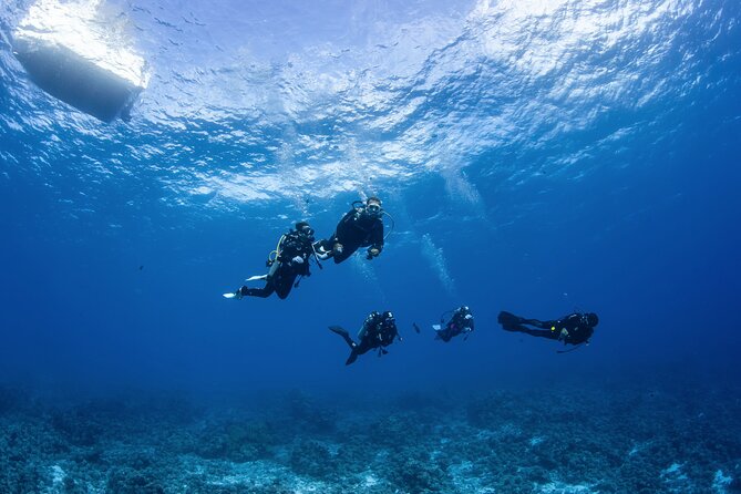 2 Dives in the morning for certified divers in Bora Bora - The small-group setup: safer, calmer, and more personal