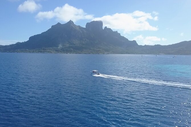 2 Dives in the morning for certified divers in Bora Bora - Safety, equipment, and guide styles that show up in reviews