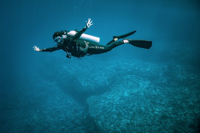 2 Dives in the morning for certified divers in Bora Bora - Price and value: is $235.69 per person fair?