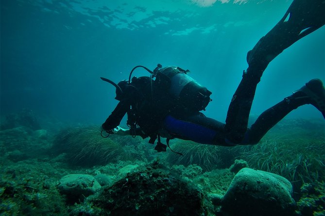 2 Dives Package - Kassandra Pickup Makes the Day Feel Effortless
