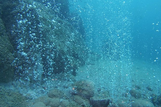 2 Dives Package - Two Underwater Sessions: How the Timing Actually Works