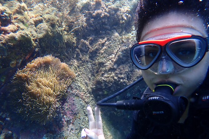 2 Fun Dives for certified Divers - Price and value: is $88 per person a fair deal in Nha Trang?