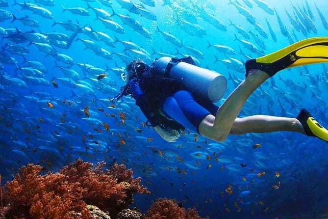 2 Fun Dives in Racha Yai or Noi for Certified Divers - Underwater Limits: Up to 50 Minutes or 50 Bars