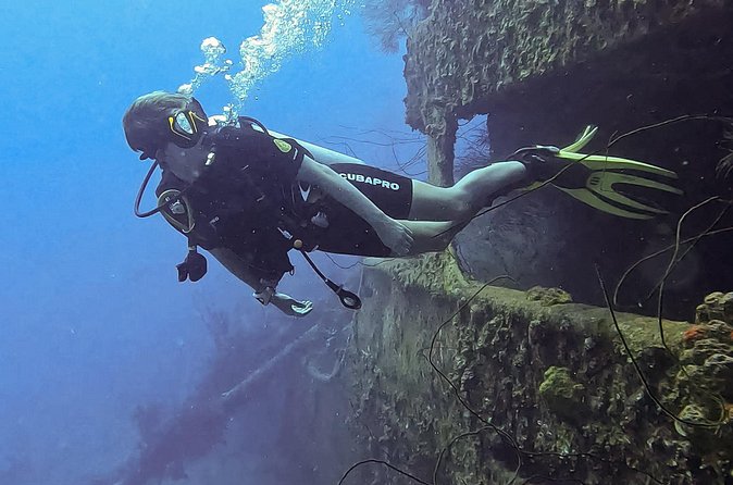 2 guided shore dives in Curacao - What the Guides Actually Do for You