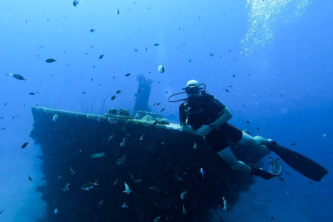 2 guided shore dives in Curacao - Who This Works For (and Who Should Choose Discover Scuba)