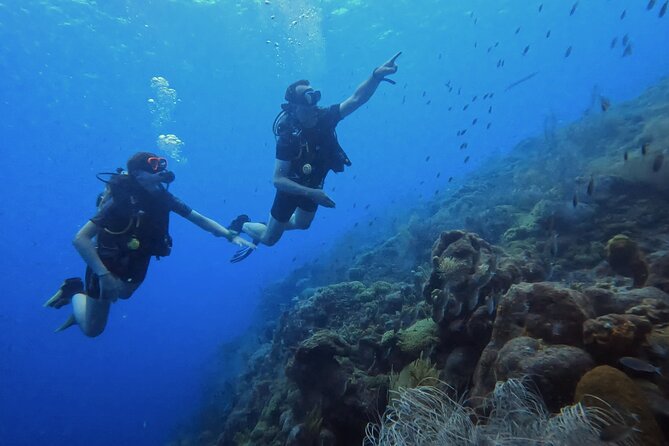 2 guided shore dives in Curacao - Gear, Pickup, and Small-Group Feel