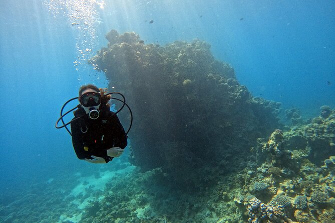 2-Hour Private Scuba Experience in Aqaba - Key things that make this 2-hour scuba session work