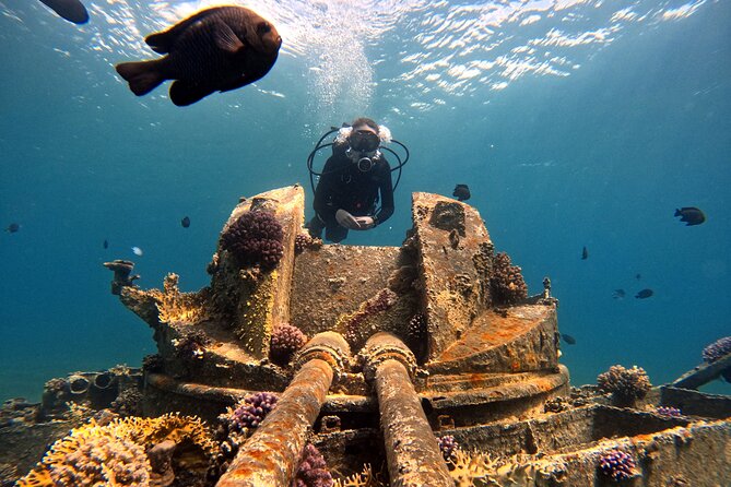 2-Hour Private Scuba Experience in Aqaba - Is this private scuba session right for you?