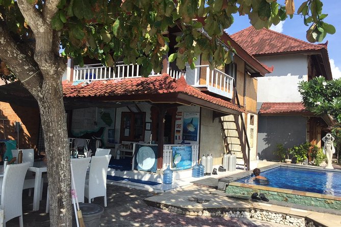 2 or 3 dives in Nusa Lembongan and Penida, for certified diver (in Lembongan) - What the guide experience tends to be like in practice