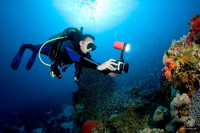 2 or 3 dives in Nusa Lembongan and Penida, for certified diver (in Lembongan) - Price and value: what $105 means in real terms