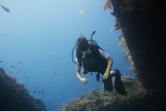 2 PADI Certified Dives at Tulamben from Bali - Price and value: is $123.60 per person a fair deal?