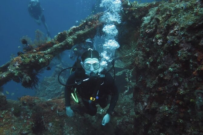 2 PADI Certified Dives at Tulamben from Bali - Who this Tulamben day is best for