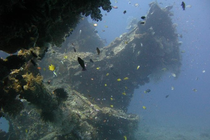 2 PADI Certified Dives at Tulamben from Bali - Lunch in Tulamben: refuel for the wreck