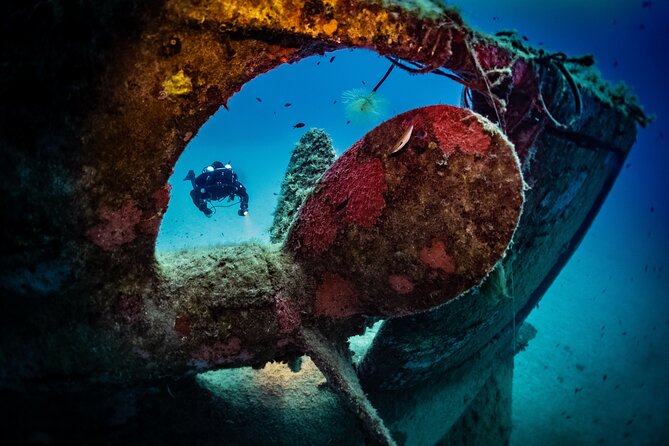 2 Scuba Fun Dives for Certified divers in St Paul's Bay - Key highlights worth planning for