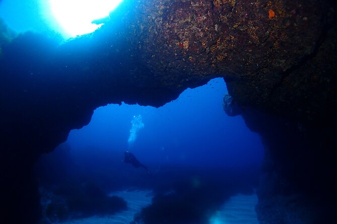 2 Scuba Fun Dives for Certified divers in St Paul's Bay - Reefs, Caves, and a WWII Wreck: What You Might See in Clear Water