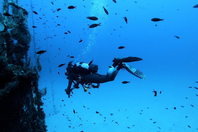 2 Scuba Fun Dives for Certified divers in St Paul's Bay - Gear Is Handled: What You Actually Need to Pack